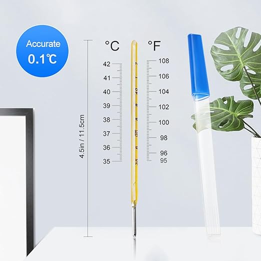 Glass Oral Thermometer for Adults and Kids 2PCS,Rectal Thermometer for Baby,Temperature Dual Scale 35-42℃ & 95-108℉,Armpit Fast Reading Fever Indicator