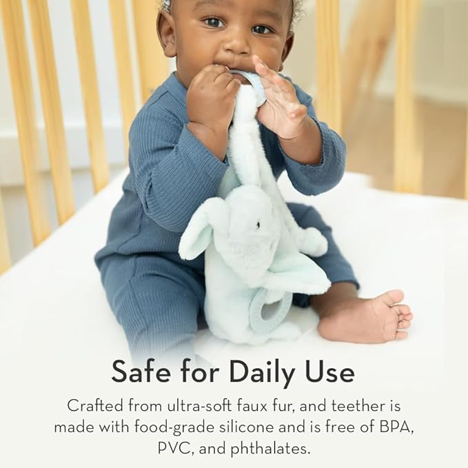 Baby Teether & Plush Lovey by Bella Tunno, Silicone Teether with Animal Snuggle Toy & Sensory Rattle, Teething Relief for Babies 0-6 Months, 6-12 Months, Hippo