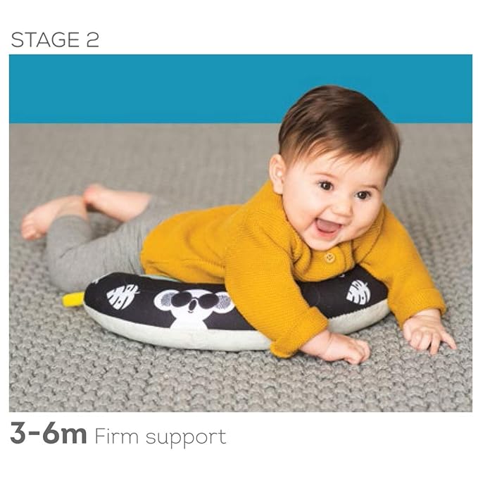 Taf Toys 2-in-1 Tummy Time Cushion for Newborns & Infants, Soft Panda Cushion with High-Contrast Crinkle, Baby Development Toy for Neck & Arm Support, Sensory Activity Mat 0-6M