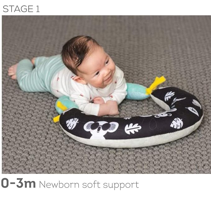 Taf Toys 2-in-1 Tummy Time Cushion for Newborns & Infants, Soft Panda Cushion with High-Contrast Crinkle, Baby Development Toy for Neck & Arm Support, Sensory Activity Mat 0-6M