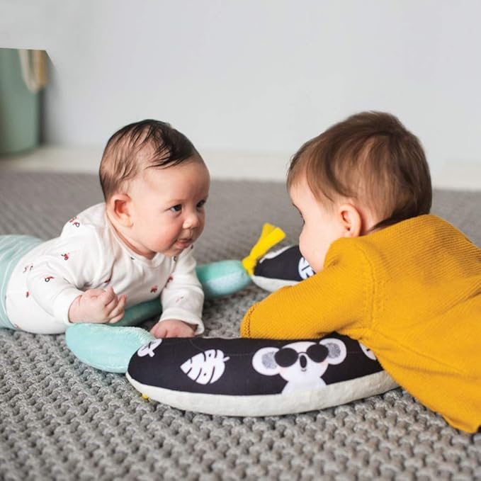 Taf Toys 2-in-1 Tummy Time Cushion for Newborns & Infants, Soft Panda Cushion with High-Contrast Crinkle, Baby Development Toy for Neck & Arm Support, Sensory Activity Mat 0-6M