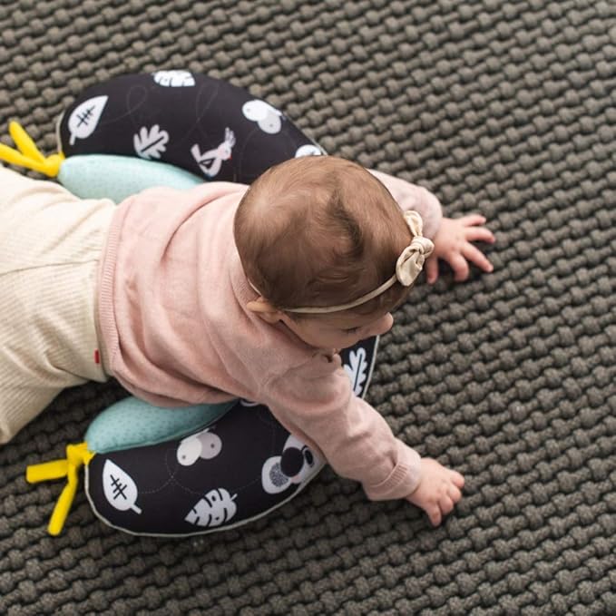 Taf Toys 2-in-1 Tummy Time Cushion for Newborns & Infants, Soft Panda Cushion with High-Contrast Crinkle, Baby Development Toy for Neck & Arm Support, Sensory Activity Mat 0-6M