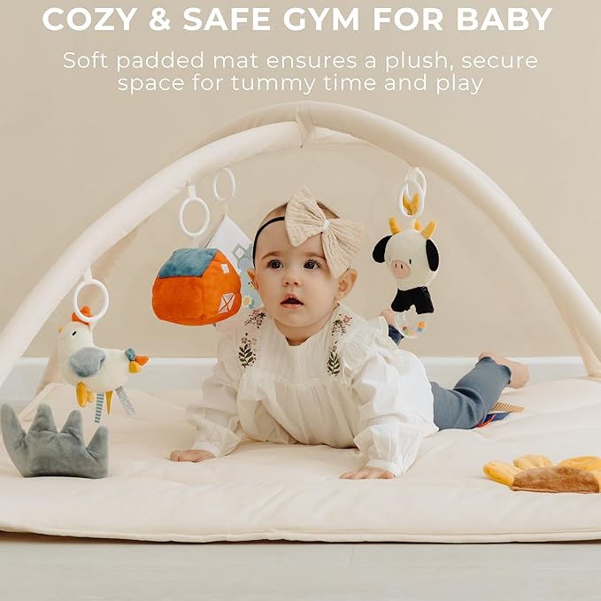 Beautiful Baby Play Gym and Tummy Time Mat - Soft Mat with 5 Farm Toys Creates The Perfect Activity Area for Your Girl/Boy - Stylish Infant Floor Playmat Fits Nicely with Any Playroom Decor