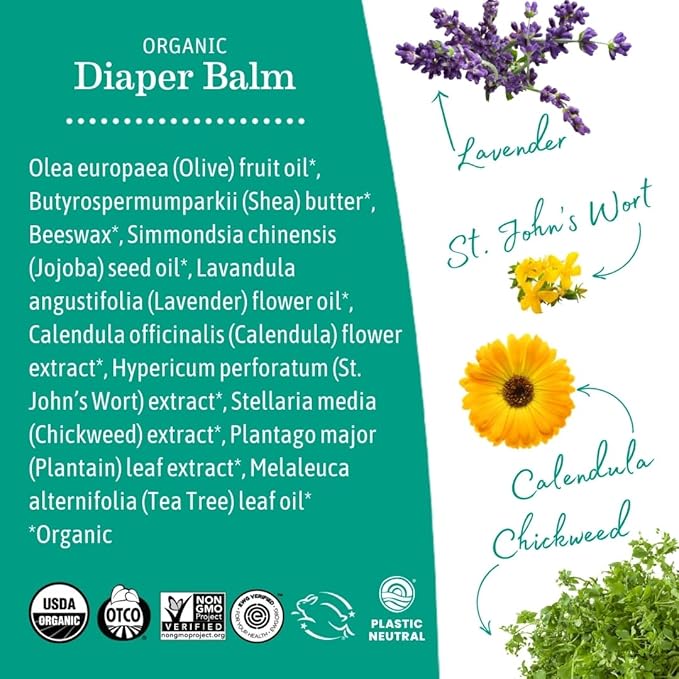 Earth Mama Organic Economy Size Diaper Balm | Diaper Cream for Baby | EWG Verified, Petroleum & Artificial Fragrance-Free with Calendula for Sensitive Skin, 4-Fluid Ounce (6-Pack)