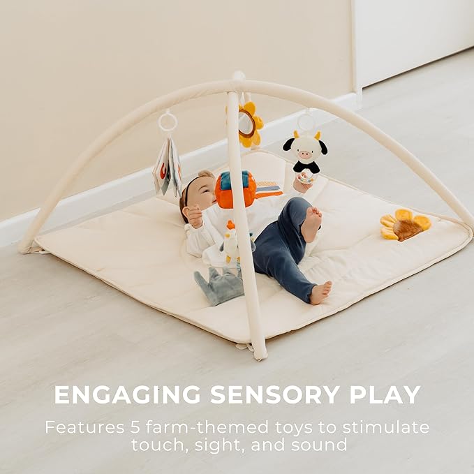 Beautiful Baby Play Gym and Tummy Time Mat - Soft Mat with 5 Farm Toys Creates The Perfect Activity Area for Your Girl/Boy - Stylish Infant Floor Playmat Fits Nicely with Any Playroom Decor
