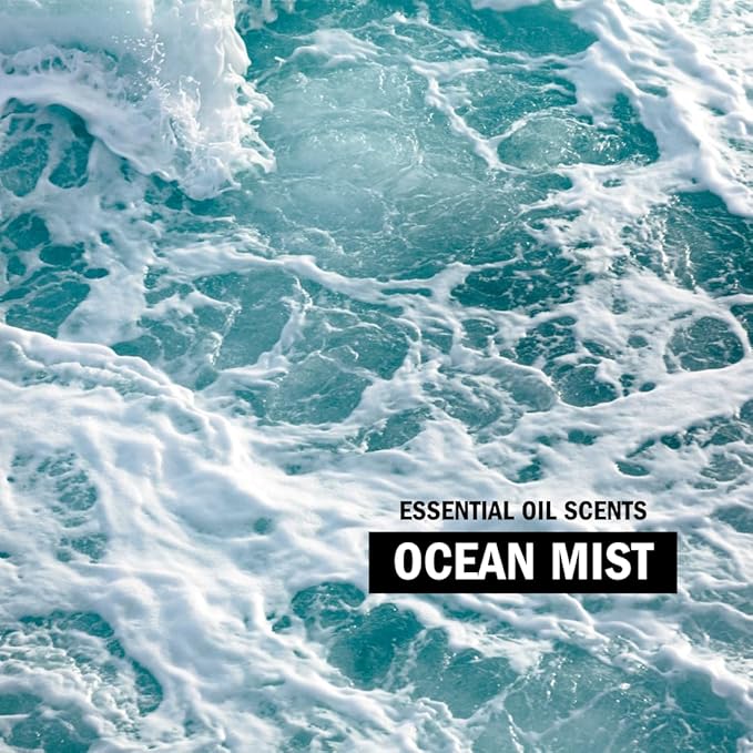 Molly's Suds Liquid Laundry Detergent | Clean Laundry Detergent Soap for Sensitive Skin | 2x Concentrated, High Efficiency (HE) | Ocean Mist - 100 Loads