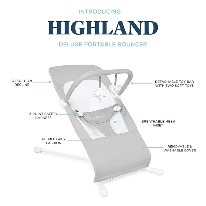 Baby Delight Highland Baby Bouncer | Infant | 0 – 6 Months | 3-Position Recline | Pebble Grey