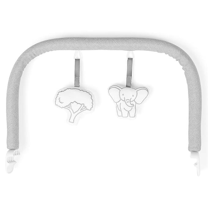 Baby Delight Highland Baby Bouncer | Infant | 0 – 6 Months | 3-Position Recline | Pebble Grey