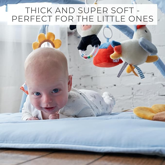 Beautiful Baby Play Gym and Tummy Time Mat - Soft Mat with 5 Farm Toys Creates The Perfect Activity Area for Your Girl/Boy - Stylish Infant Floor Playmat Fits Nicely with Any Playroom Decor