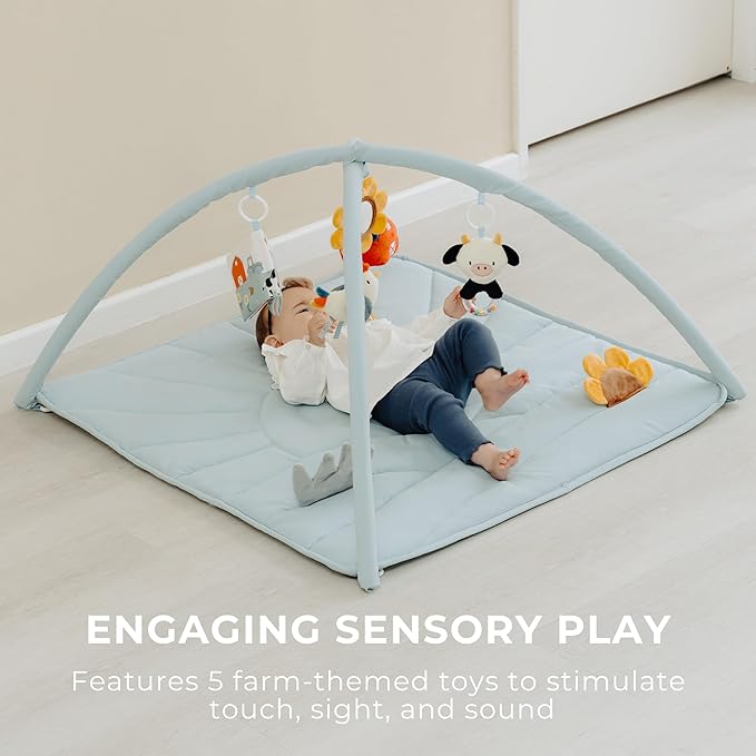 Beautiful Baby Play Gym and Tummy Time Mat - Soft Mat with 5 Farm Toys Creates The Perfect Activity Area for Your Girl/Boy - Stylish Infant Floor Playmat Fits Nicely with Any Playroom Decor