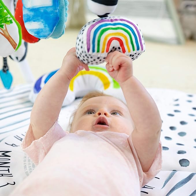 Sassy Stages STEM Developmental Play Gym, Sensory Tummy Time Activity Play Mat w/Built-in Instructions, Ultra Plush & Machine Washable Playmat for Babies & Toddlers, 0+ Months