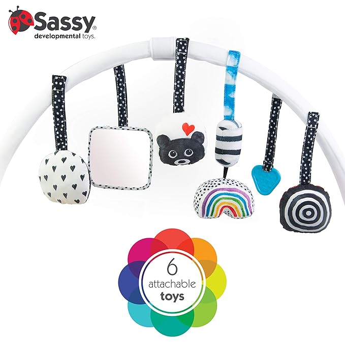 Sassy Stages STEM Developmental Play Gym, Sensory Tummy Time Activity Play Mat w/Built-in Instructions, Ultra Plush & Machine Washable Playmat for Babies & Toddlers, 0+ Months