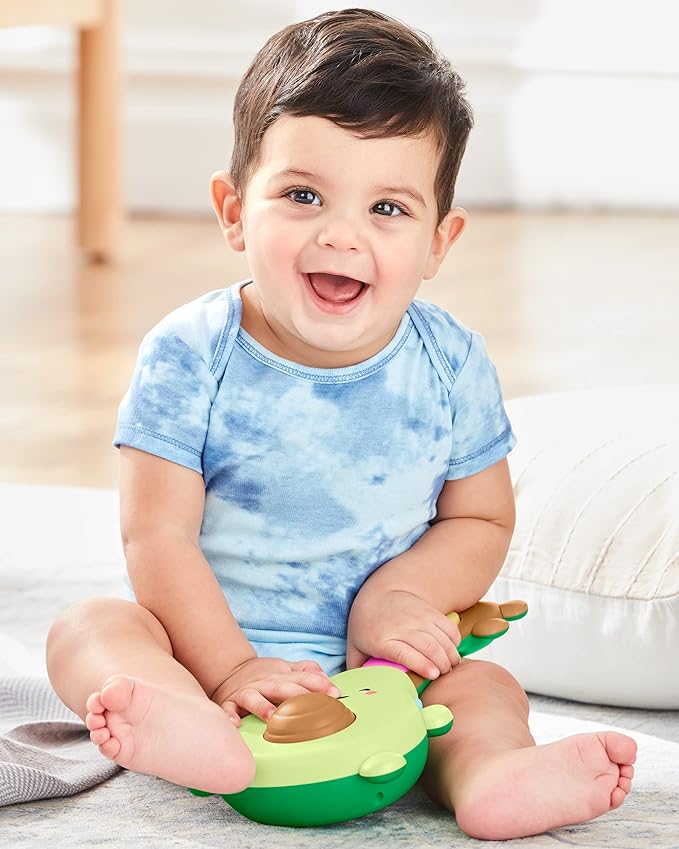 Skip Hop Baby Toy Rock-A-Mole Guitar, Farmstand Grow & Play, 0.6 lb