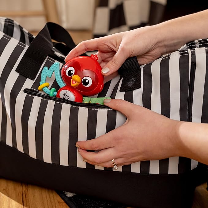 Baby Einstein Roxys Bright Flight Musical Baby Toy & Teether, Plays Real Bird Sounds with 10+ Melodies, Multisensory, Ages 3 Months and Up