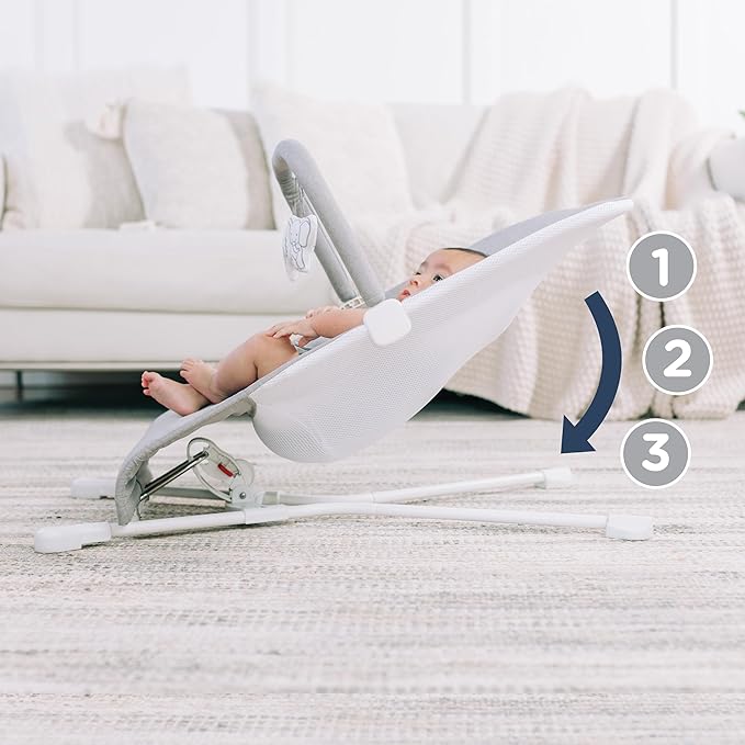 Baby Delight Highland Baby Bouncer | Infant | 0 – 6 Months | 3-Position Recline | Pebble Grey