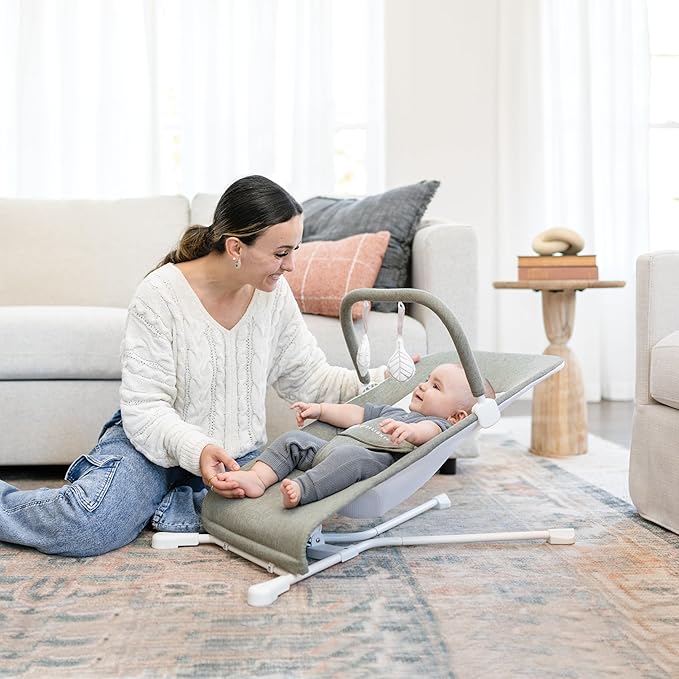 Baby Delight Highland Baby Bouncer | Infant | 0 – 6 Months | 3-Position Recline | Sage Tweed