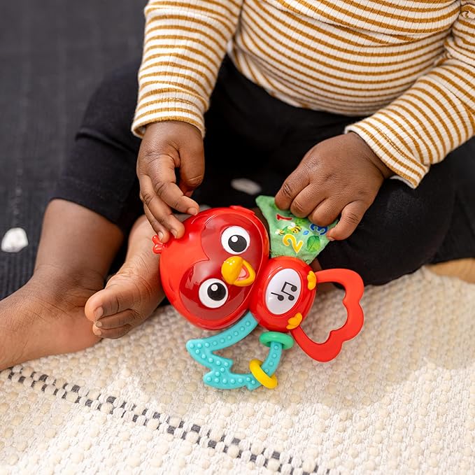 Baby Einstein Roxys Bright Flight Musical Baby Toy & Teether, Plays Real Bird Sounds with 10+ Melodies, Multisensory, Ages 3 Months and Up