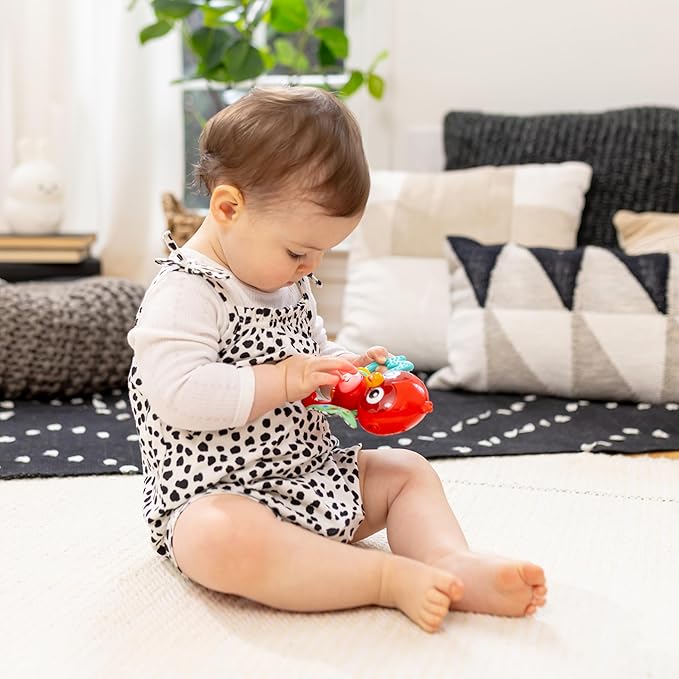 Baby Einstein Roxys Bright Flight Musical Baby Toy & Teether, Plays Real Bird Sounds with 10+ Melodies, Multisensory, Ages 3 Months and Up