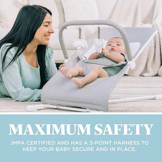 Baby Delight Highland Baby Bouncer | Infant | 0 – 6 Months | 3-Position Recline | Pebble Grey