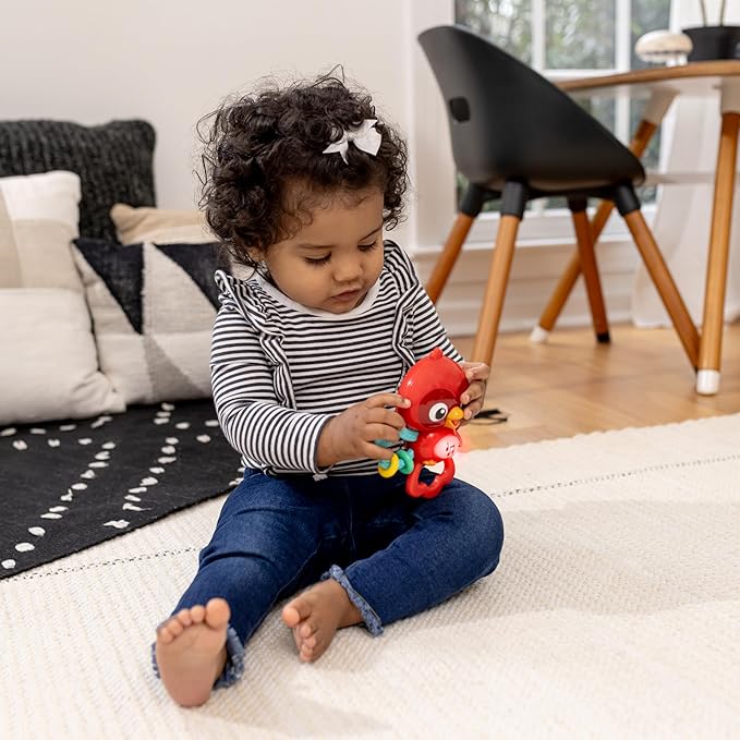 Baby Einstein Roxys Bright Flight Musical Baby Toy & Teether, Plays Real Bird Sounds with 10+ Melodies, Multisensory, Ages 3 Months and Up