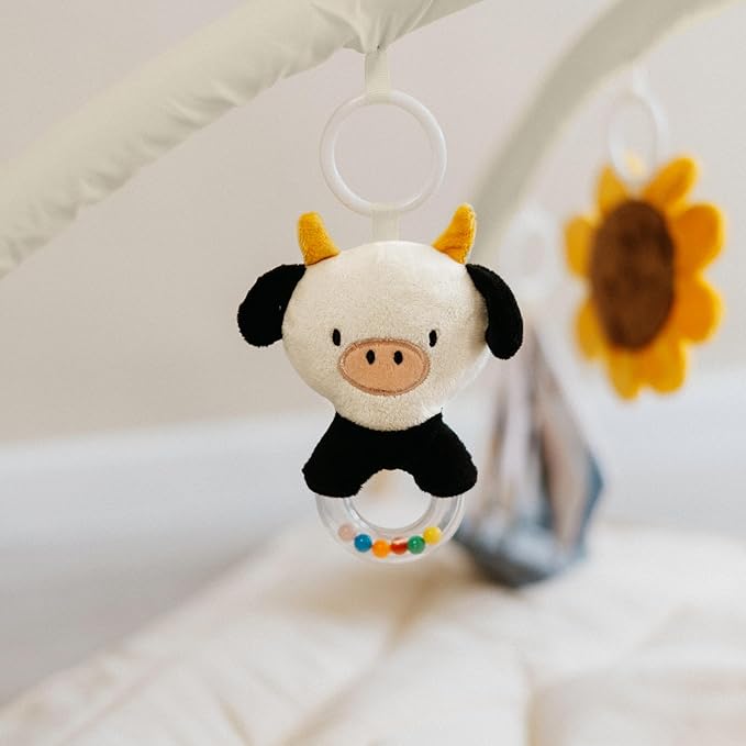 Beautiful Baby Play Gym and Tummy Time Mat - Soft Mat with 5 Farm Toys Creates The Perfect Activity Area for Your Girl/Boy - Stylish Infant Floor Playmat Fits Nicely with Any Playroom Decor