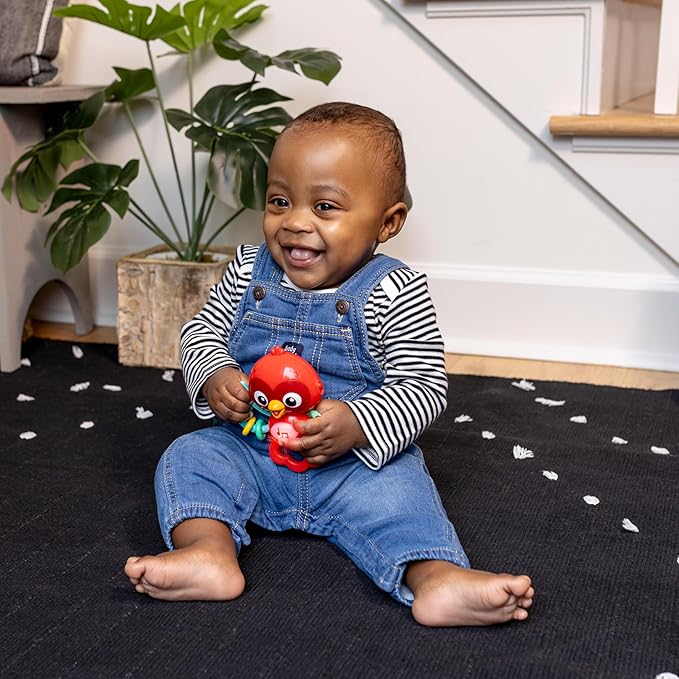 Baby Einstein Roxys Bright Flight Musical Baby Toy & Teether, Plays Real Bird Sounds with 10+ Melodies, Multisensory, Ages 3 Months and Up