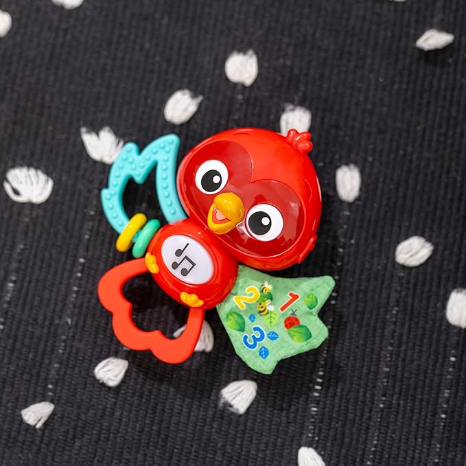 Baby Einstein Roxys Bright Flight Musical Baby Toy & Teether, Plays Real Bird Sounds with 10+ Melodies, Multisensory, Ages 3 Months and Up