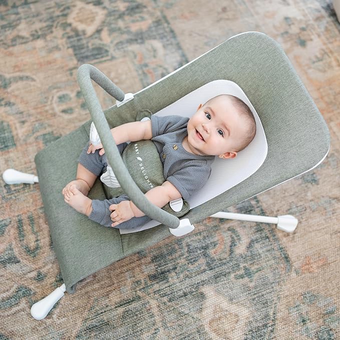Baby Delight Highland Baby Bouncer | Infant | 0 – 6 Months | 3-Position Recline | Sage Tweed
