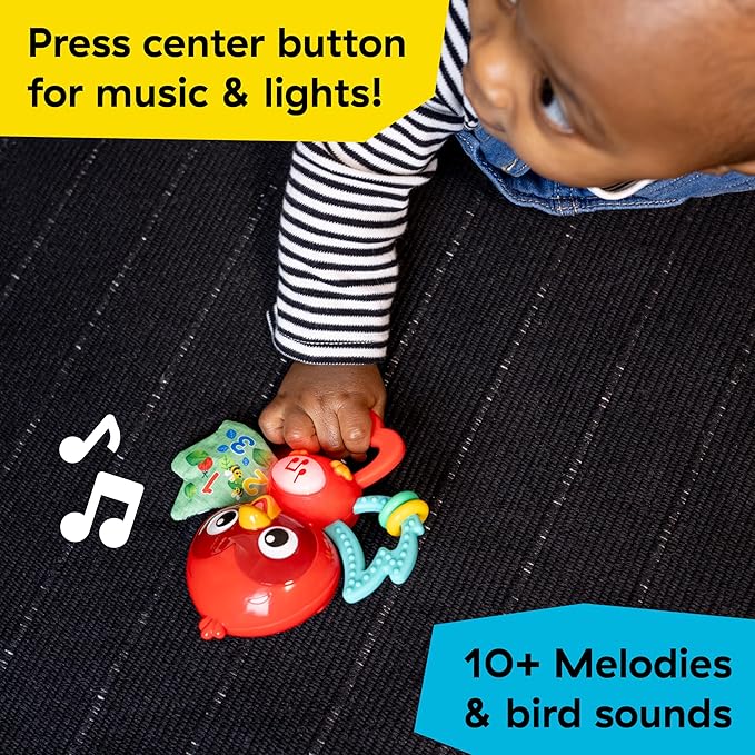 Baby Einstein Roxys Bright Flight Musical Baby Toy & Teether, Plays Real Bird Sounds with 10+ Melodies, Multisensory, Ages 3 Months and Up